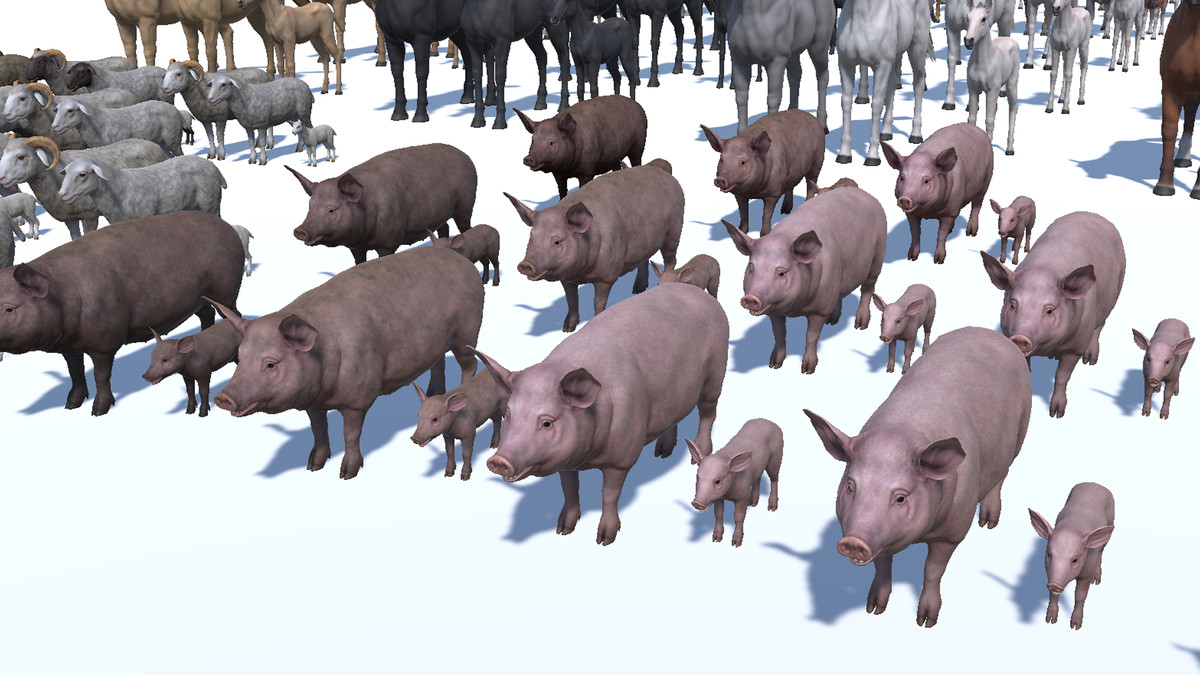 DOMESTIC ANIMAL PACK