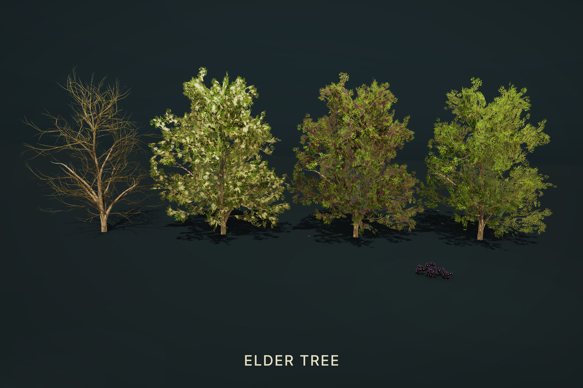 Wild Orchard: Hedgerow Trees | Harvestable Berries