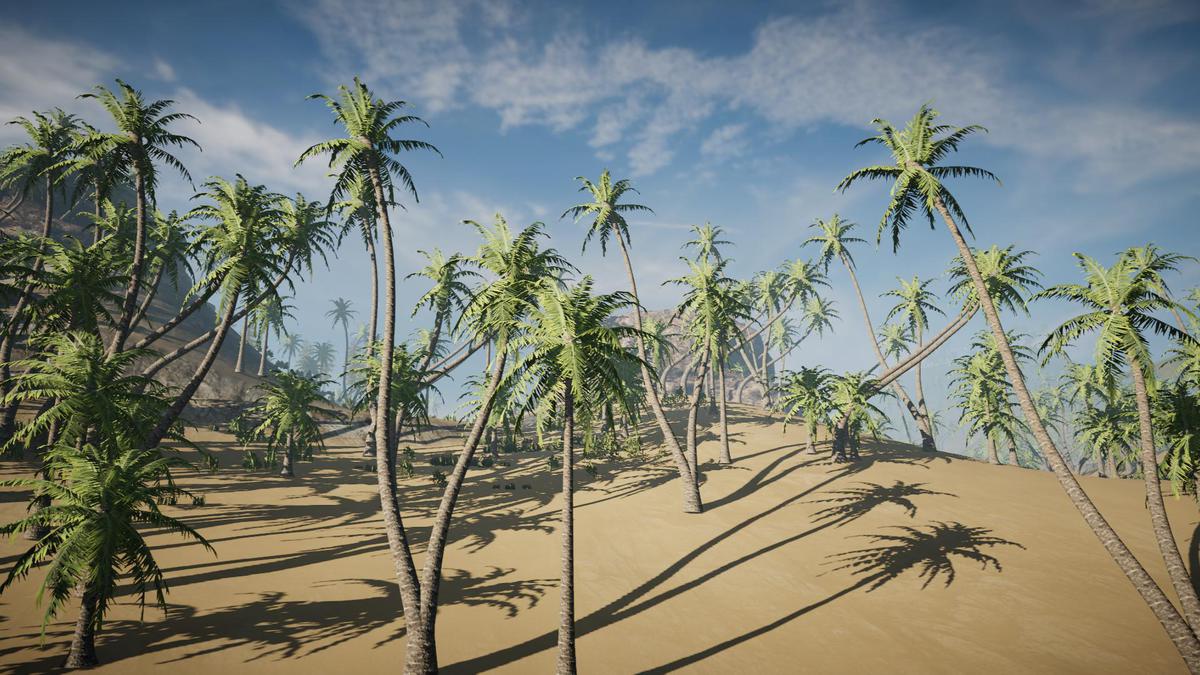Big Tree Bundle