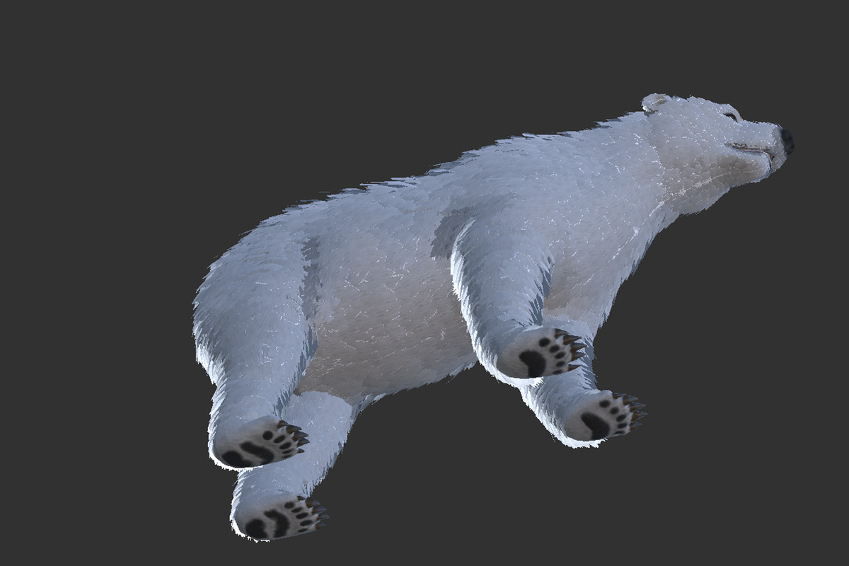Polar Bear (Fur)