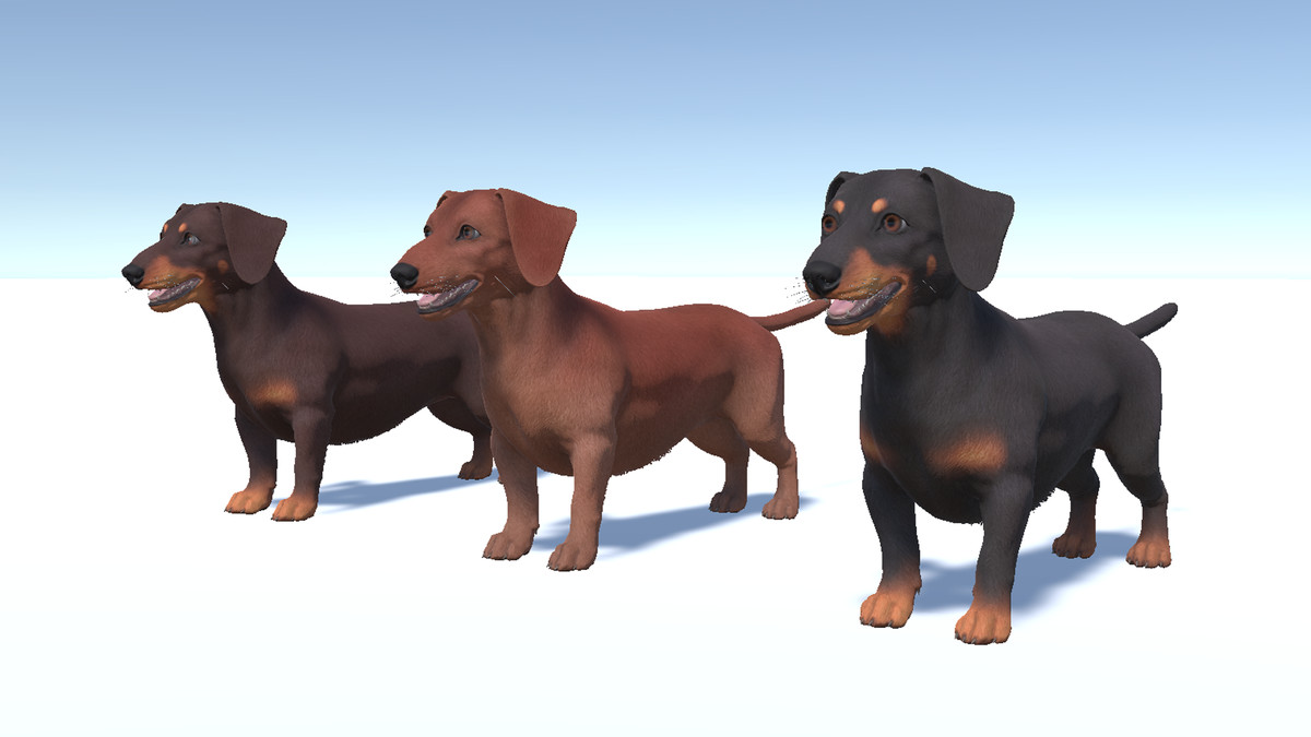 Dog -- Dachshund