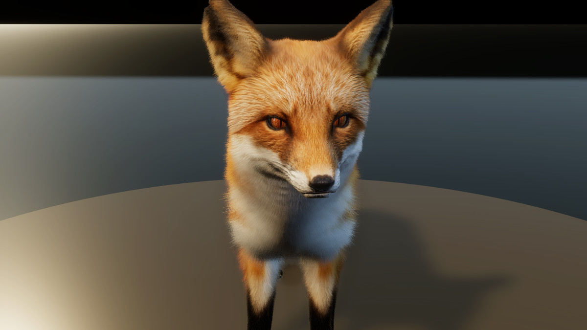 Forest Predators Collection - Realistic Animated Animals