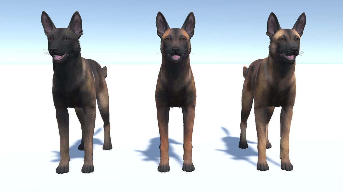 Dog - Belgian Malinois