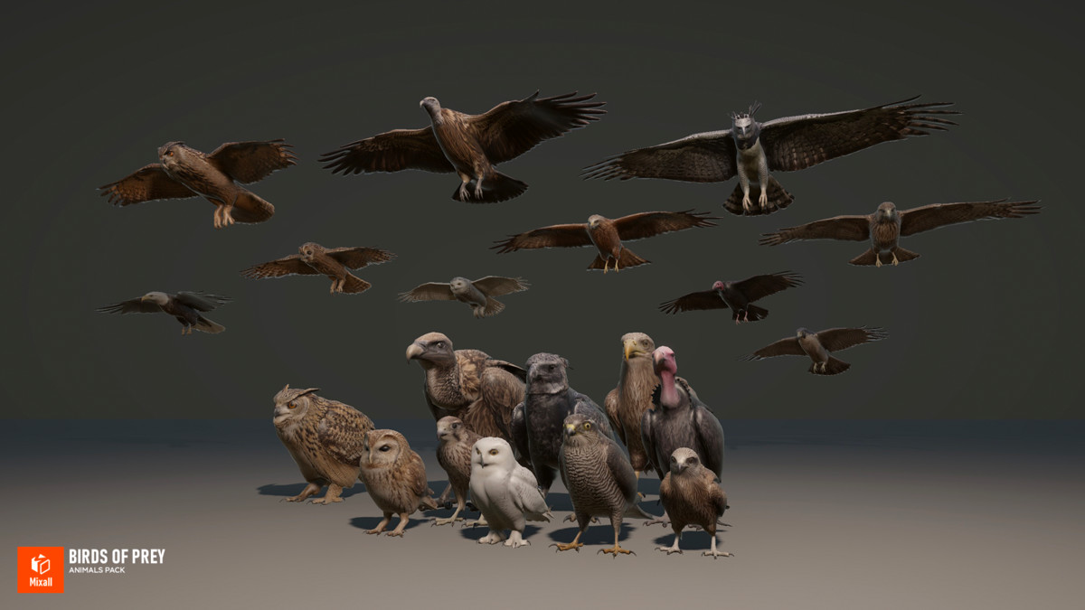 Birds of prey - animals pack