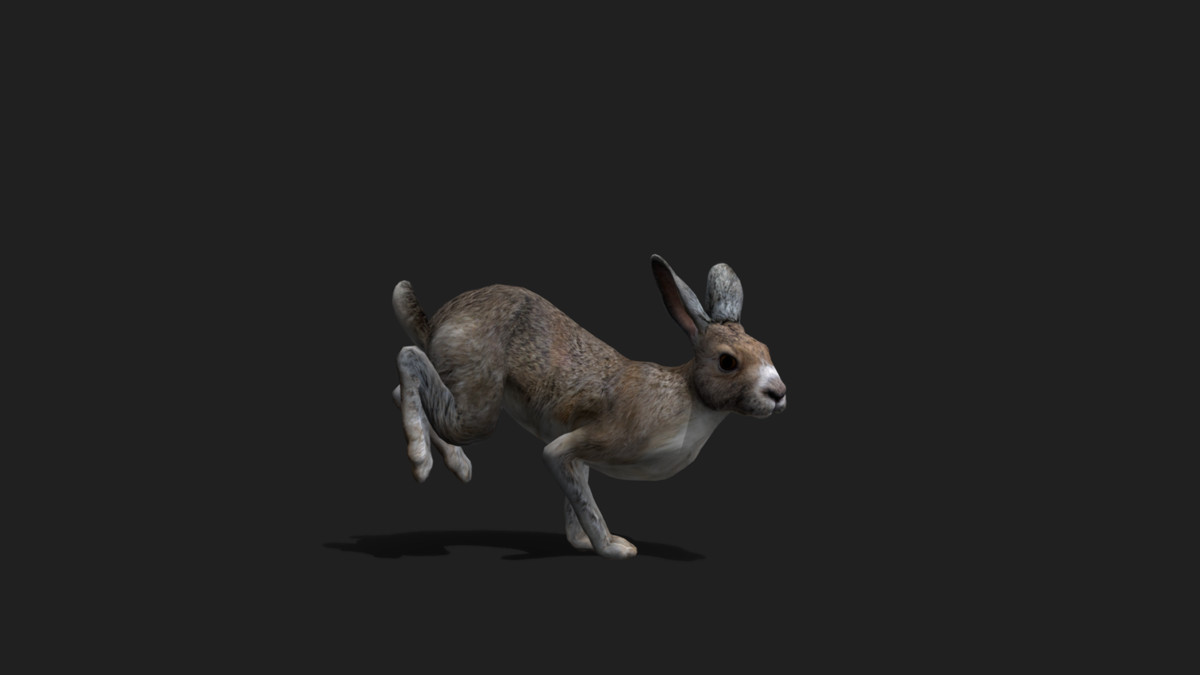 WILDPOLY - Animated Animals – Realistic Pack