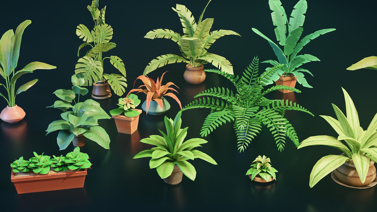 Stylized Home Plants