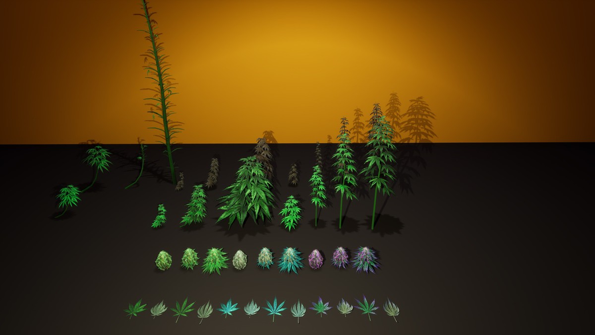 Cannabis (Hemp) Plant 3D Models Pack