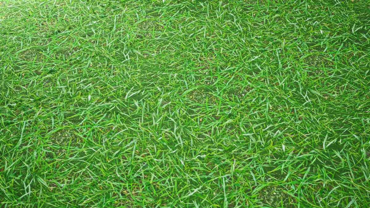 Realistic Materials - Forest Ground 1
