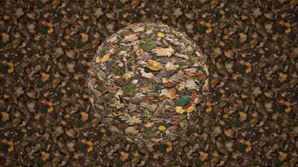 Realistic Materials - Forest Ground 1