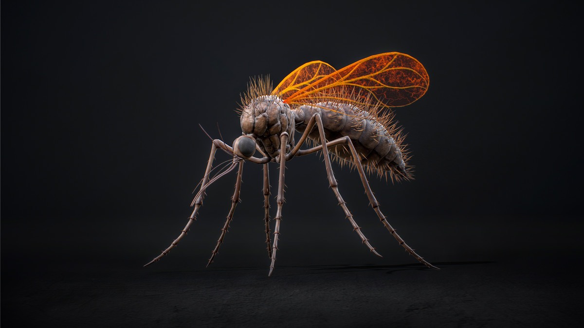 Mosquito Queen - Fantasy Cave Mosquito Boss Creature