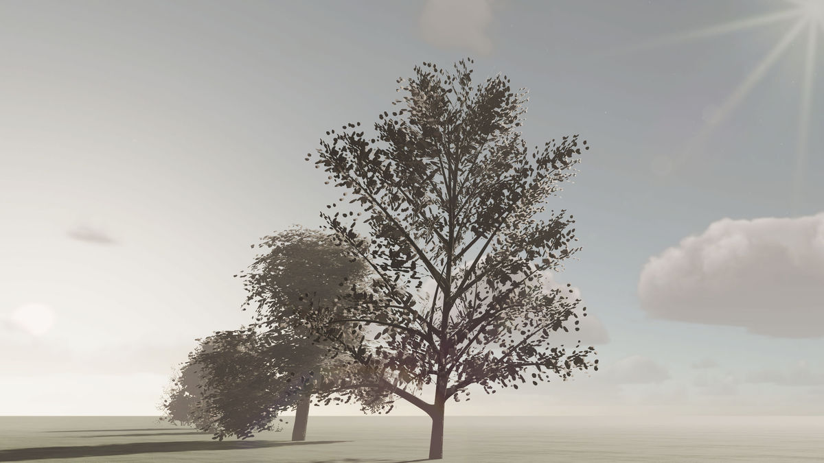 OWA Nature Bundle PRO