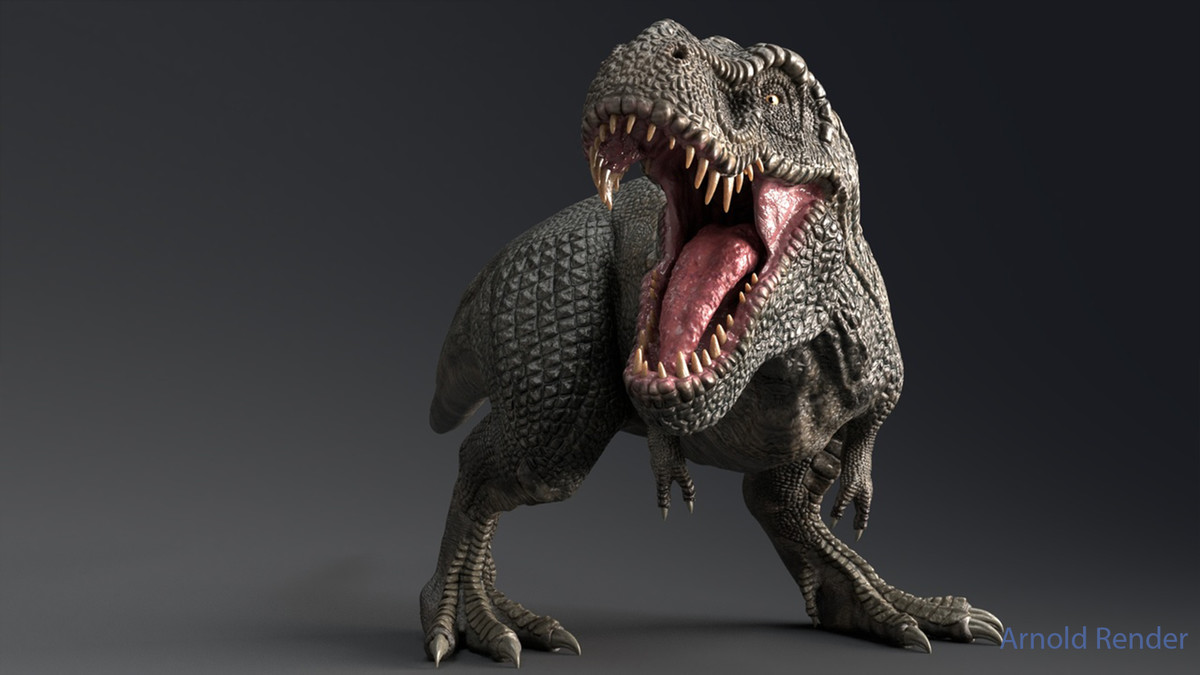 Dinosaur & Dragon 3-in-1 Collection