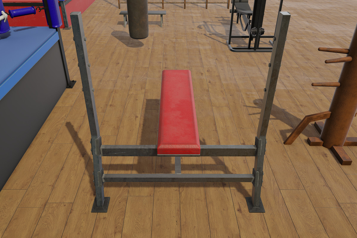 Boxing and Gym Equipment