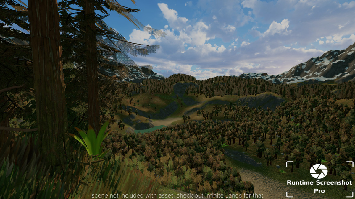 Runtime Screenshot Pro