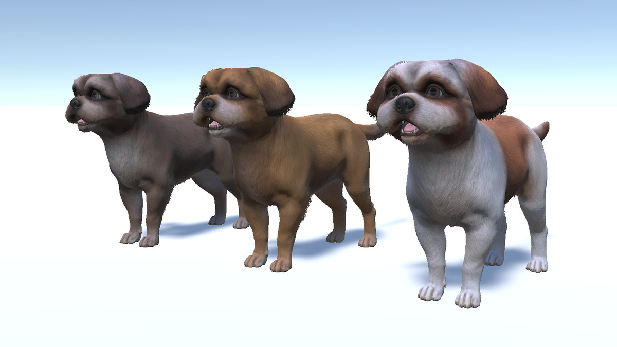 Dog - Shih Tzu
