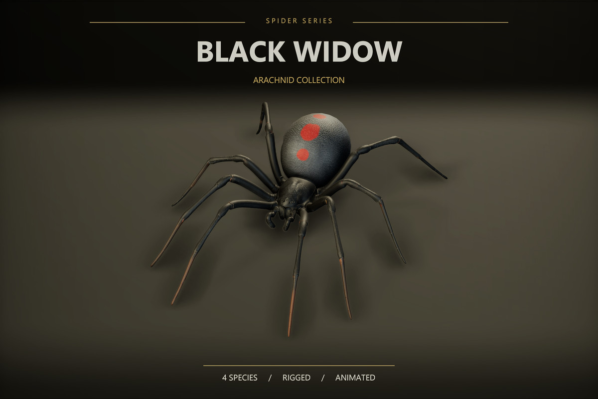 Arachnid Collection — 4 Animated Spiders