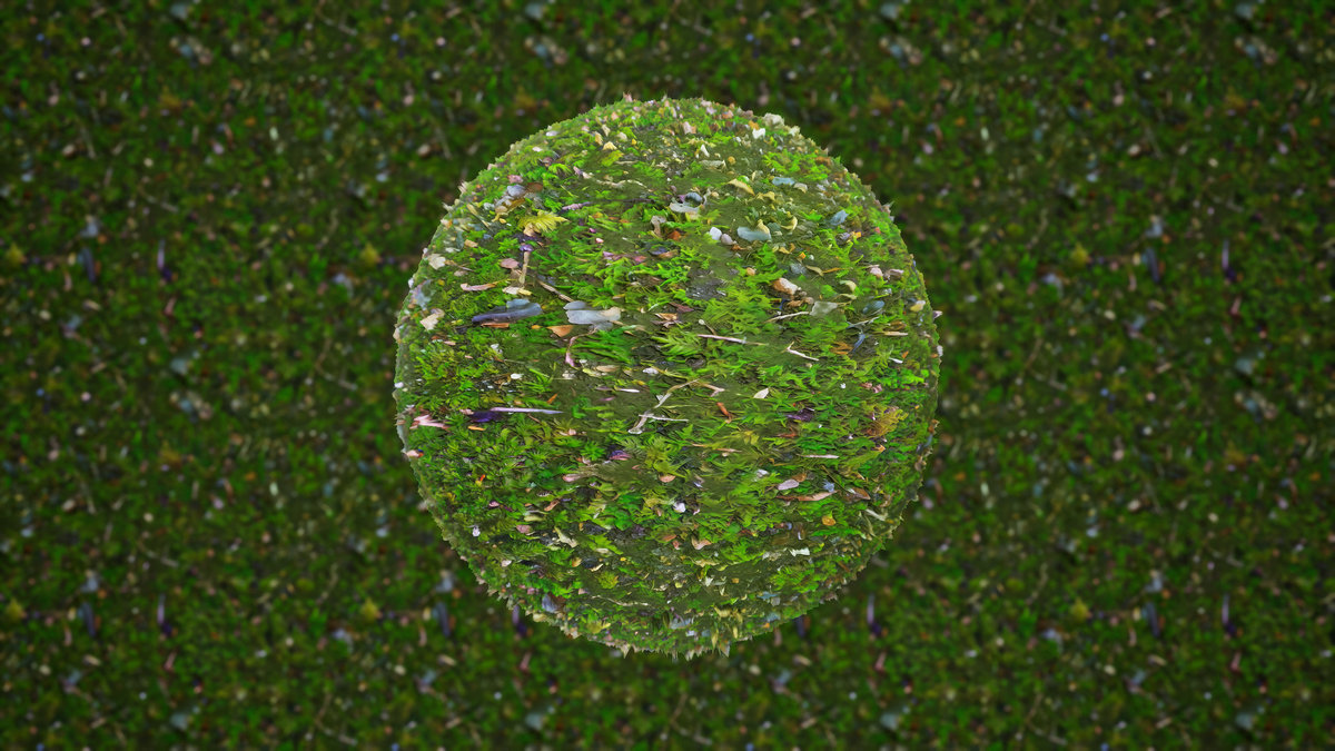 Realistic Materials - Forest Ground 2