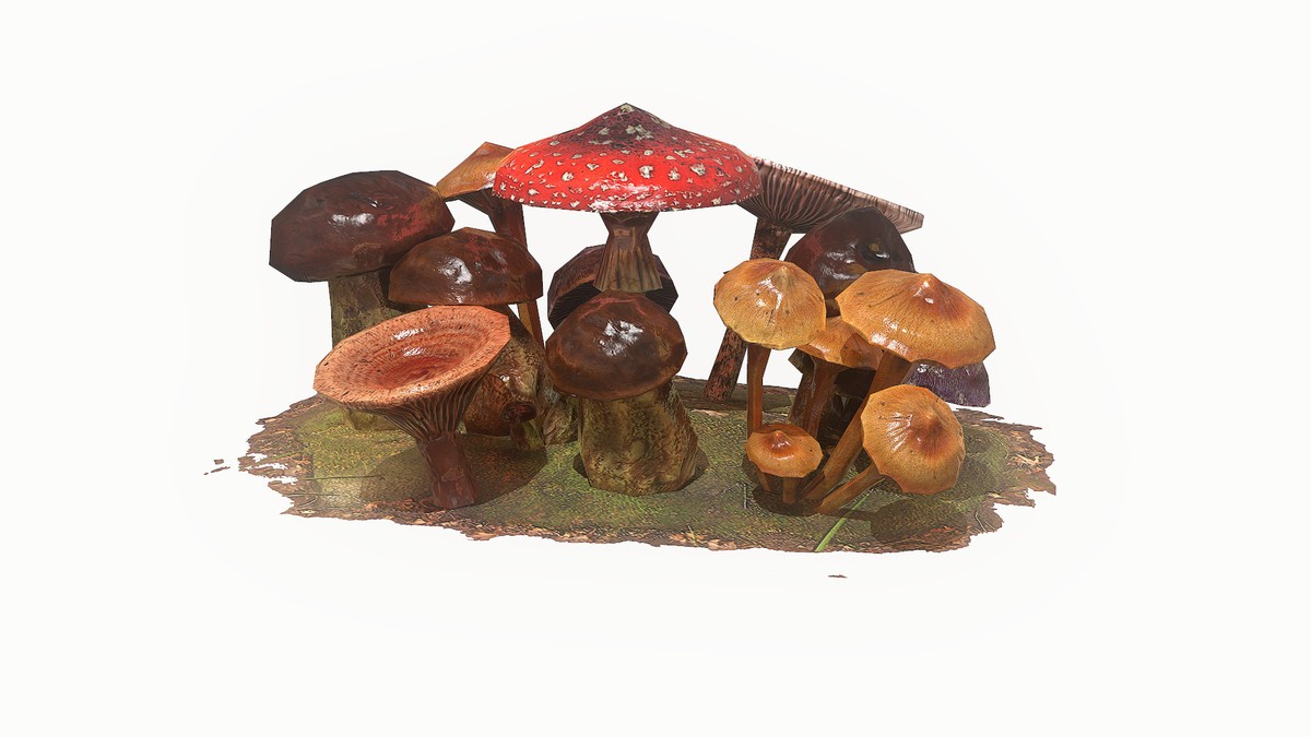 Mushrooms