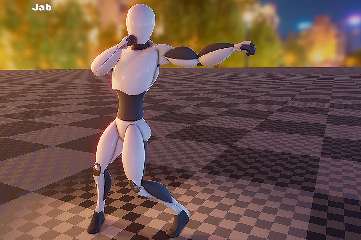 Boxing animation package