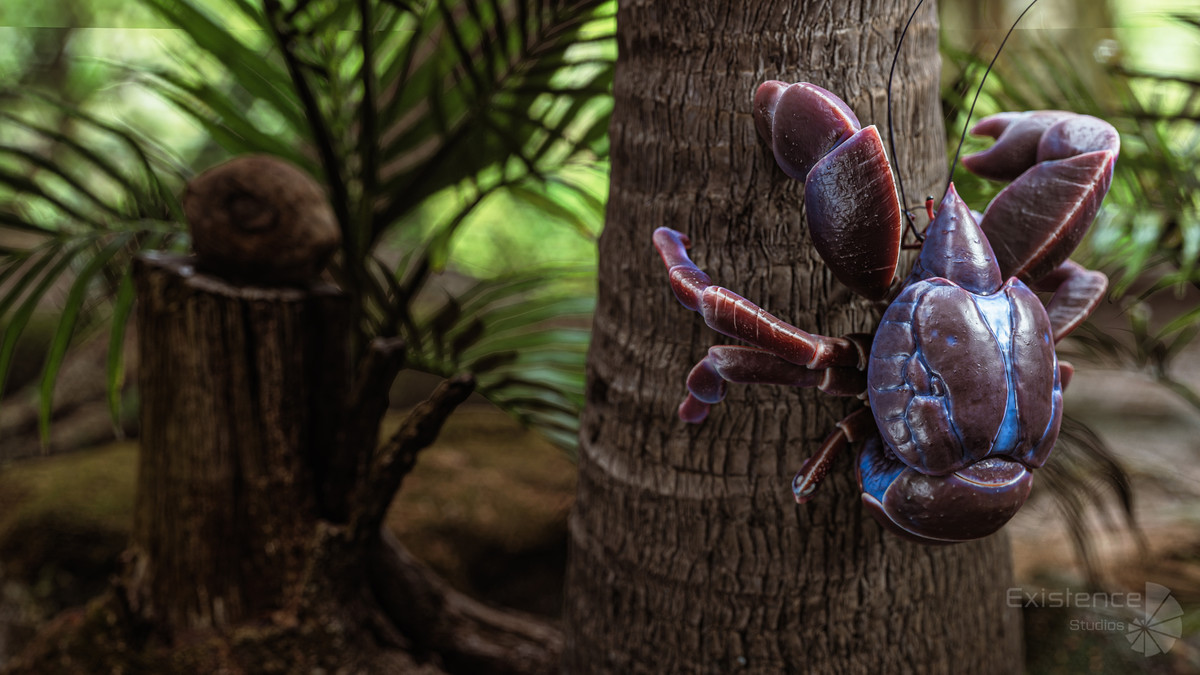 Crab - Coconut Crab - Mantis Shrimp - Sea Turtle - Nautilus - #70