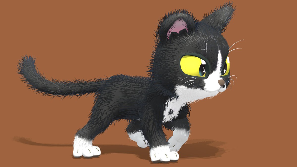 Cute Cat