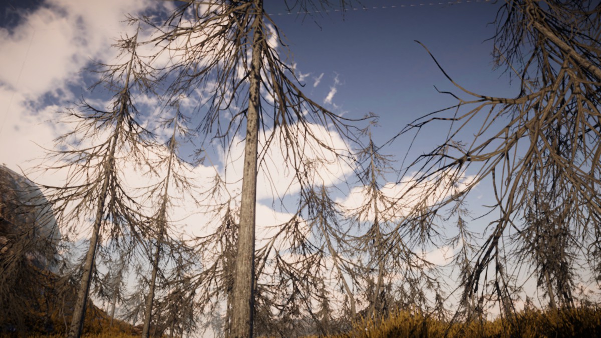 840 Tree Models (Mobile URP)