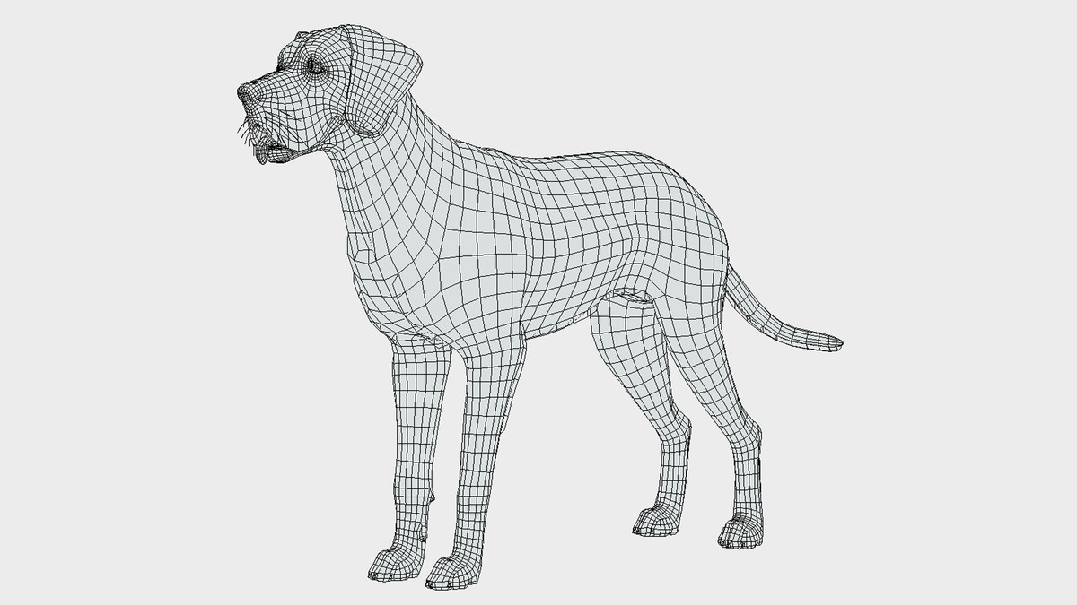 Dog - Great Dane