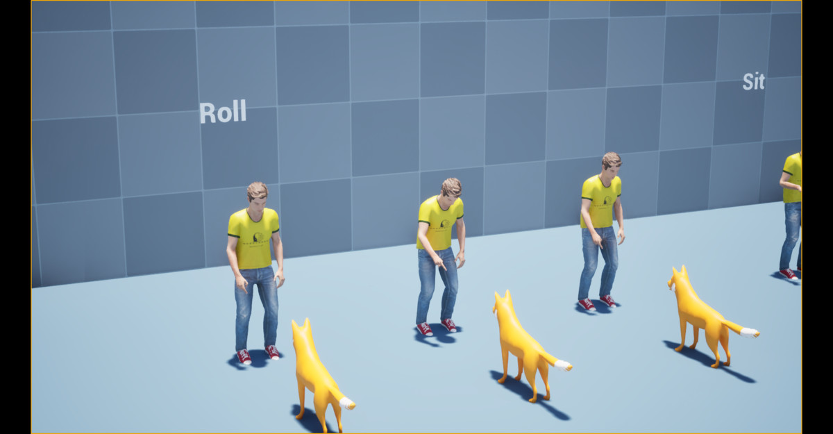Dog Command Animation