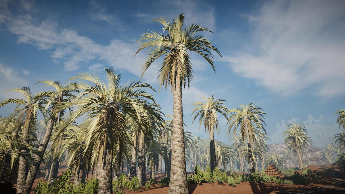 Big Tree Bundle