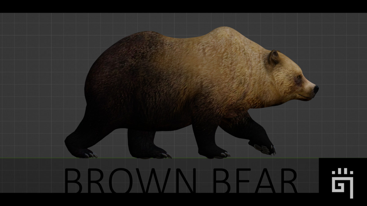 Bear Pack (AnimalDev)
