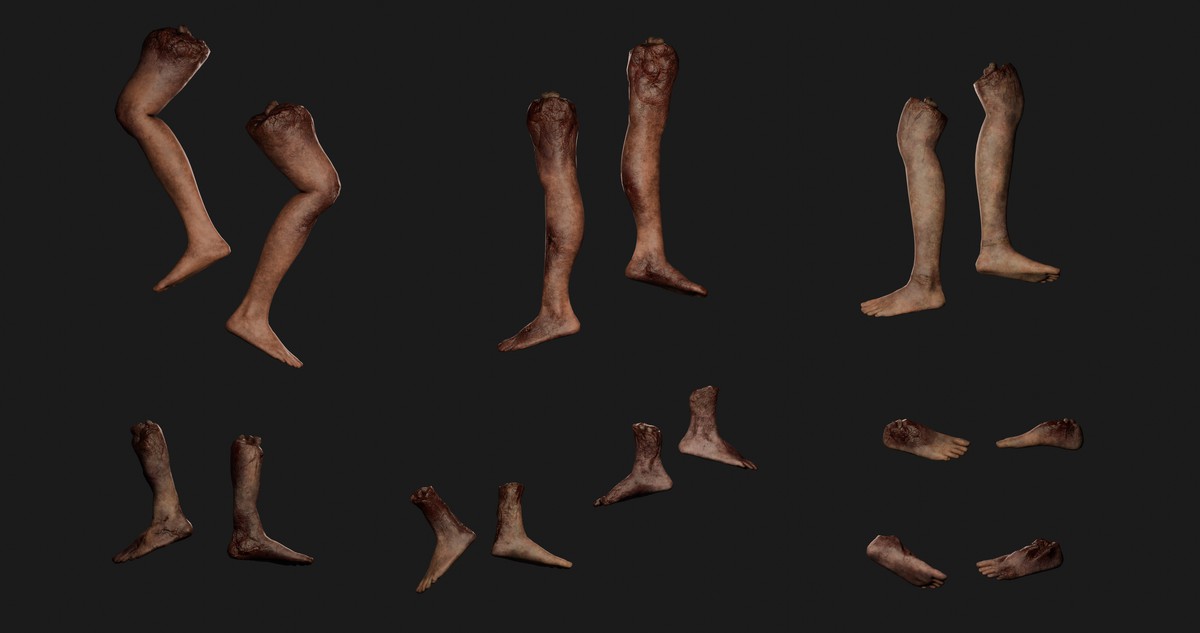 Human Body Parts