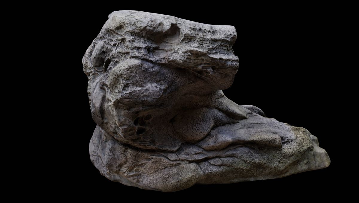 Mushroom shore rocks volume one Photogrammetry PBR 4K