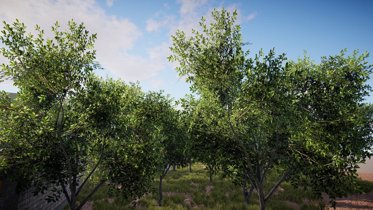 HDRP Tree Bundle 1