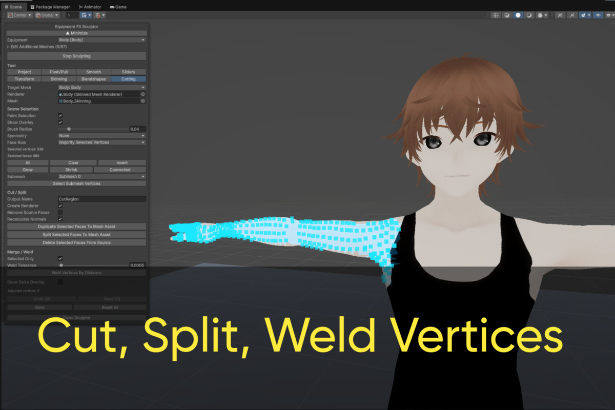 Rigging, Mesh Editing, Blendshape Creation for Crystal Character Creator