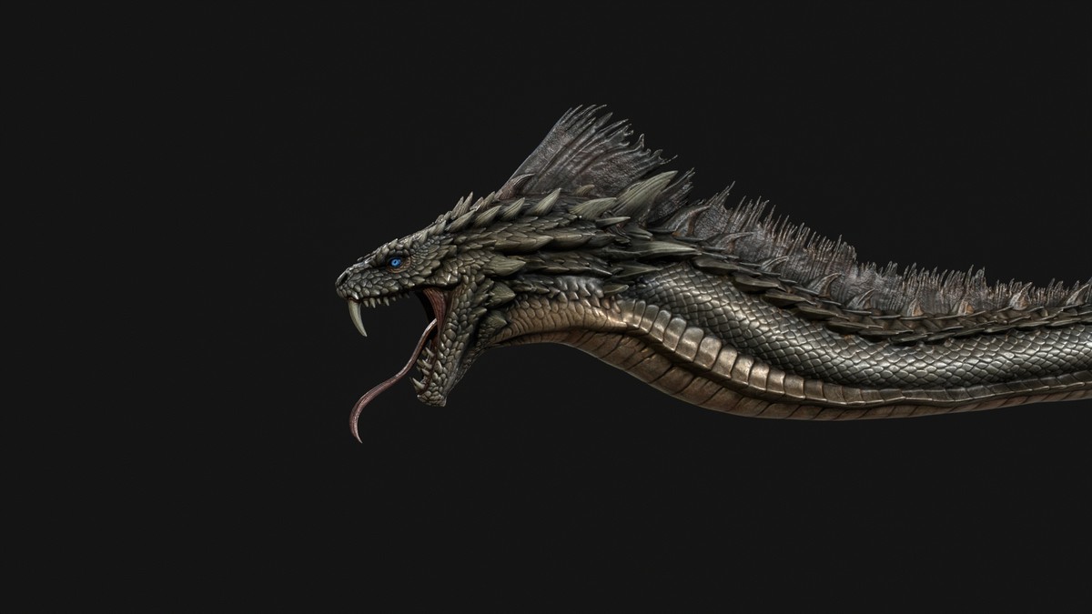 SeaDragon