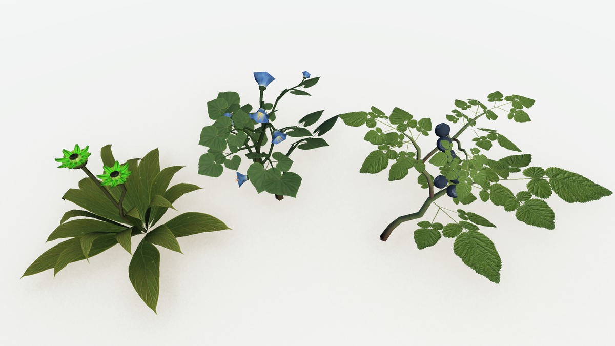 Trees Herbs Plants Pack