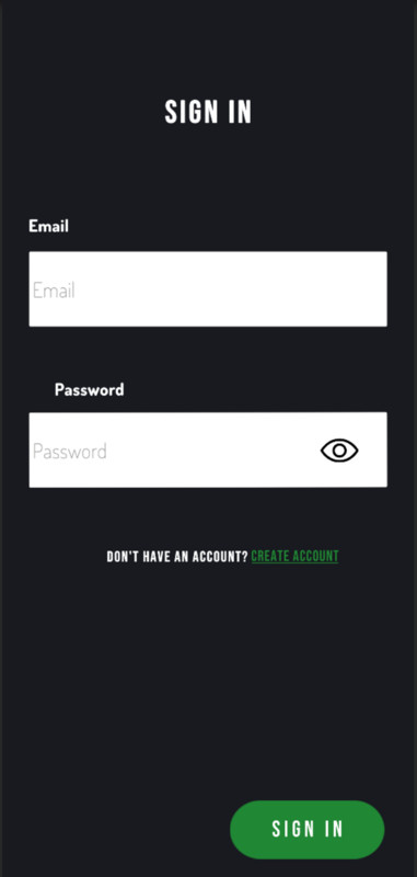 Digital Rain - Word Game Template