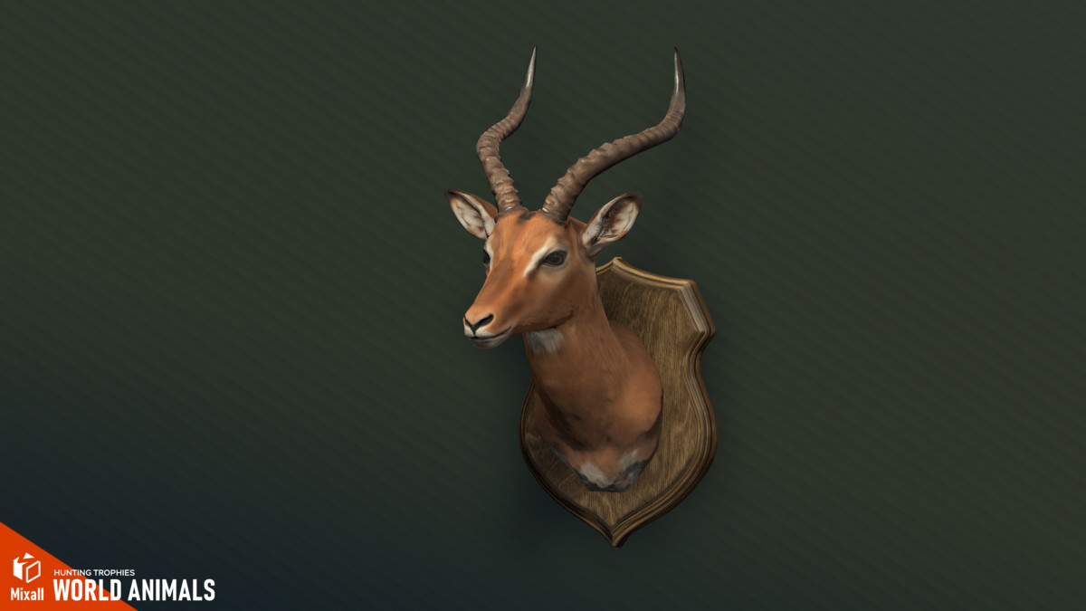 World Animals – Hunting Trophies
