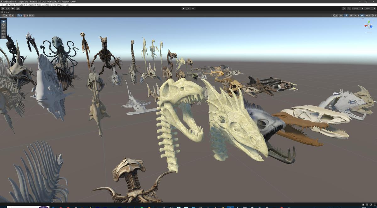 Fish and Underwater Creatures Skeleton Collection – Marine Bone 3D Asset Pack