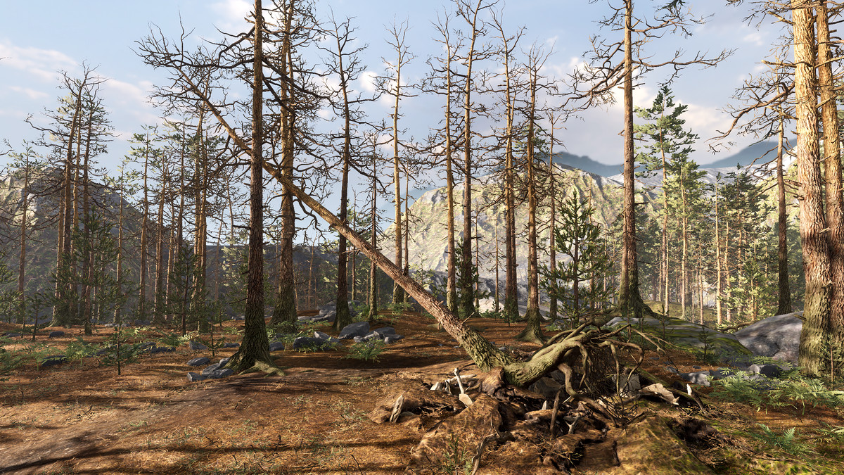 Rocky Pine Forest