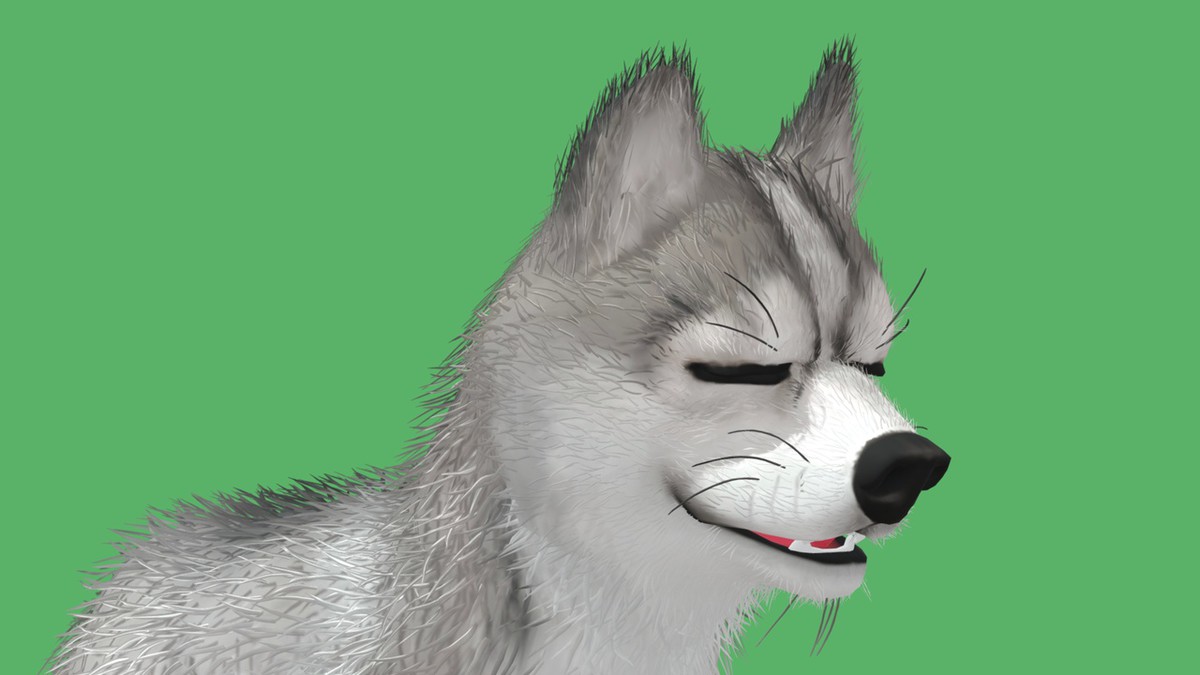 Cute Dog - Husky