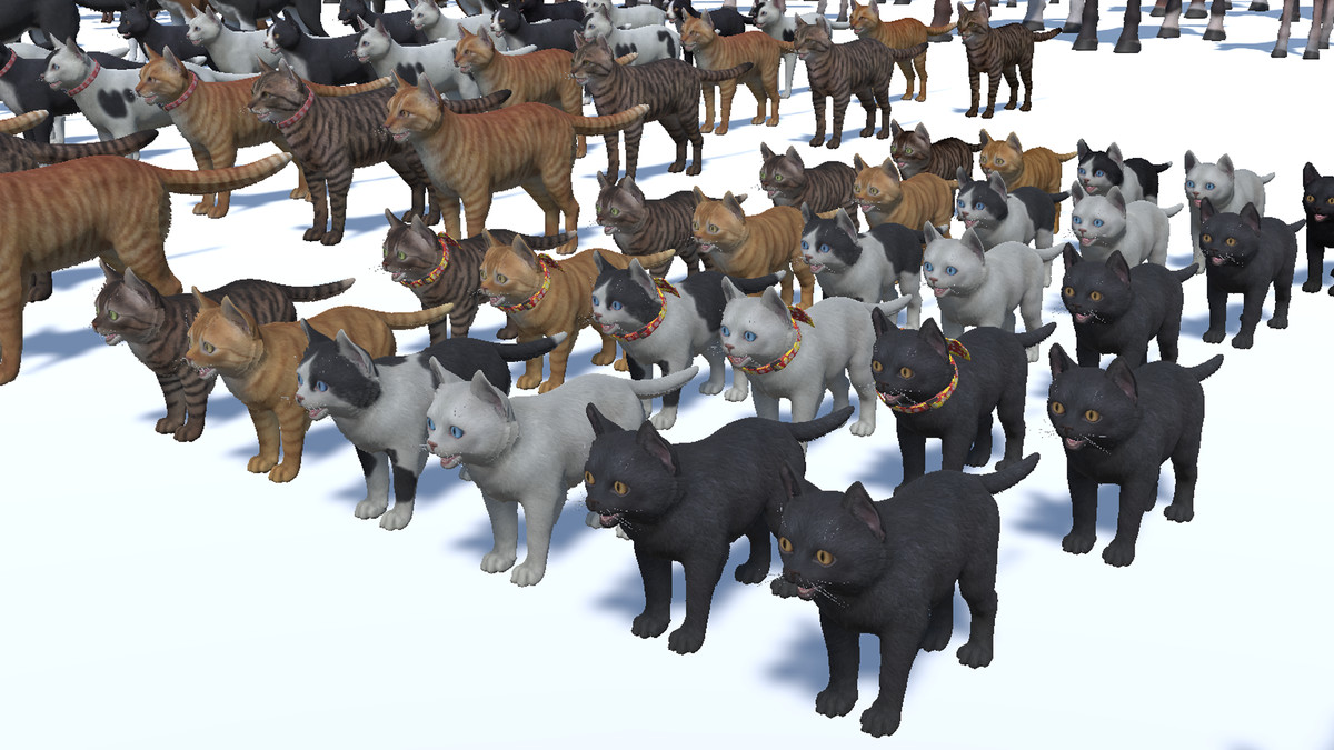 DOMESTIC ANIMAL PACK