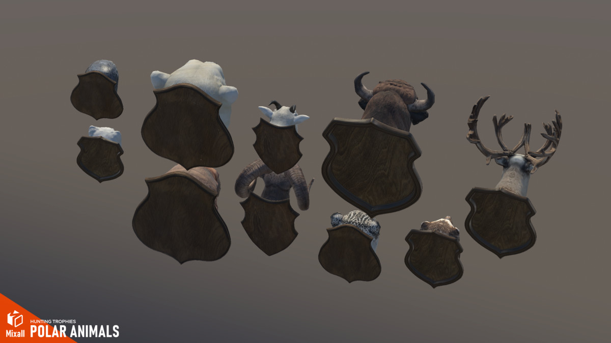 Polar animals – Hunting trophies