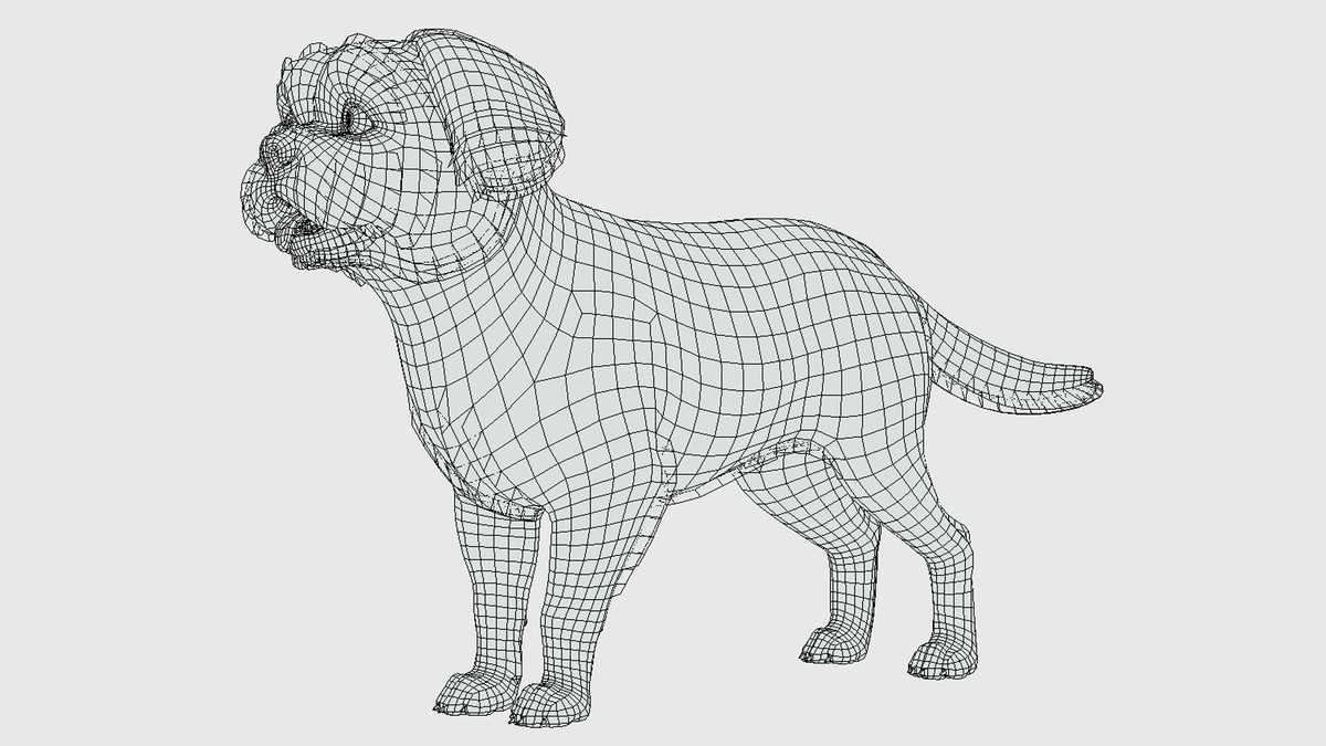 Dog - Shih Tzu