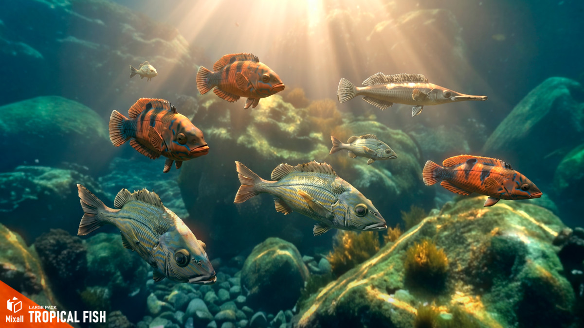 150 Sea fish - Full pack