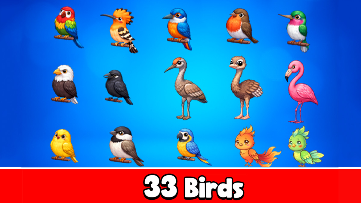 33 Bird - 2D Animated Character