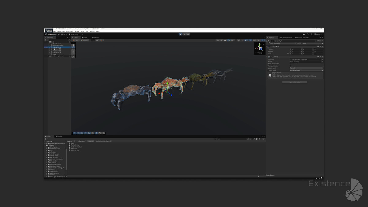 Crab - Coconut Crab - Mantis Shrimp - Sea Turtle - Nautilus - #70