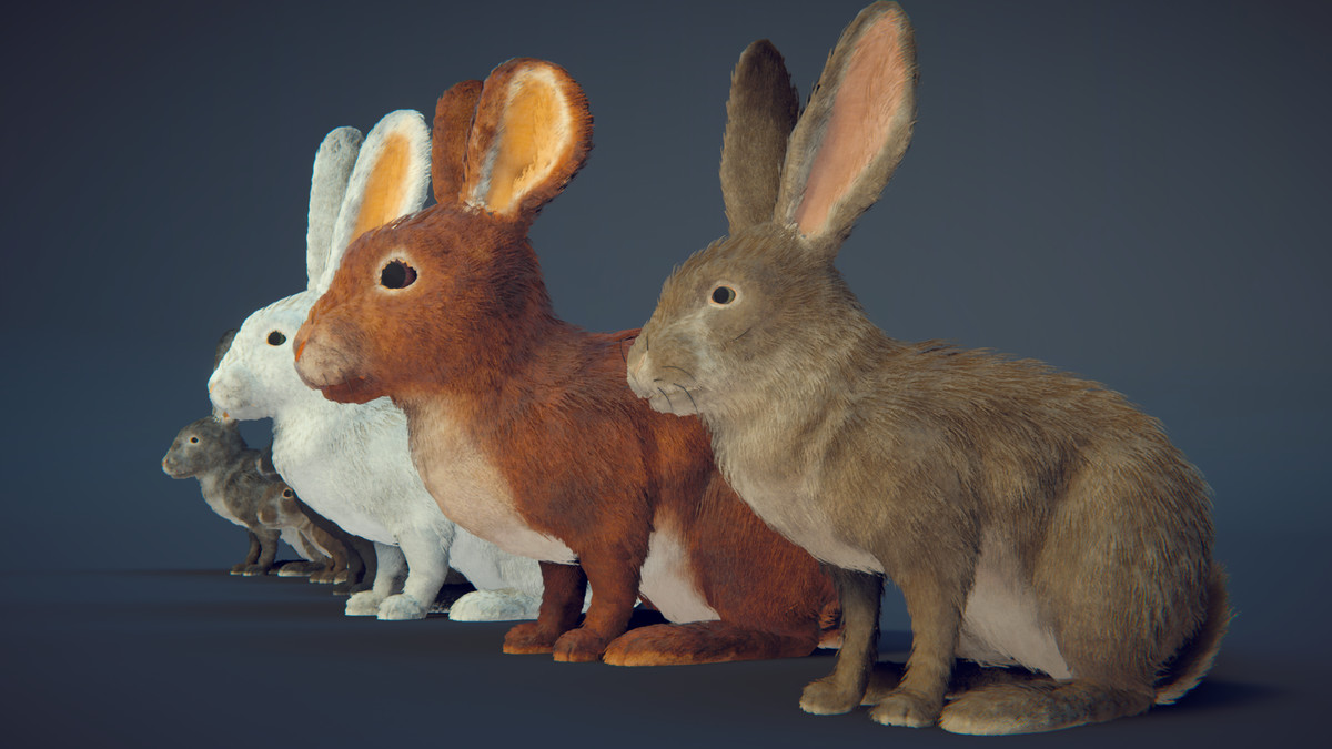 Realistic Rabbits