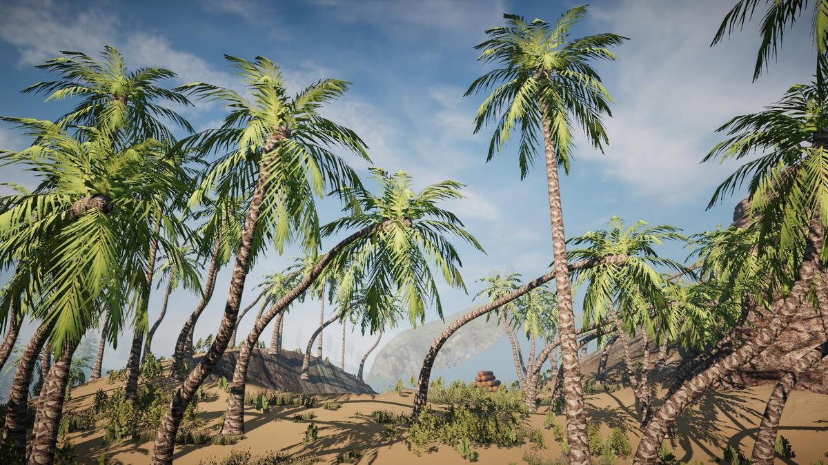 Big Tree Bundle