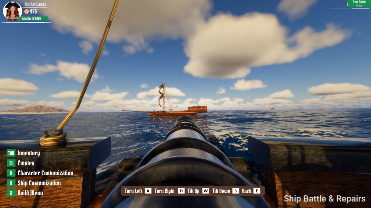 Pirate Multiplayer Game Template (MMO)